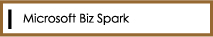 Microsoft Biz Spark